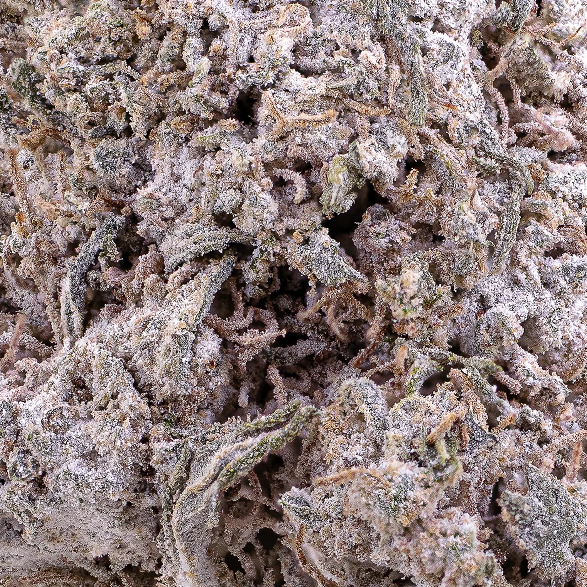 Odense O.G. - 23% THCA