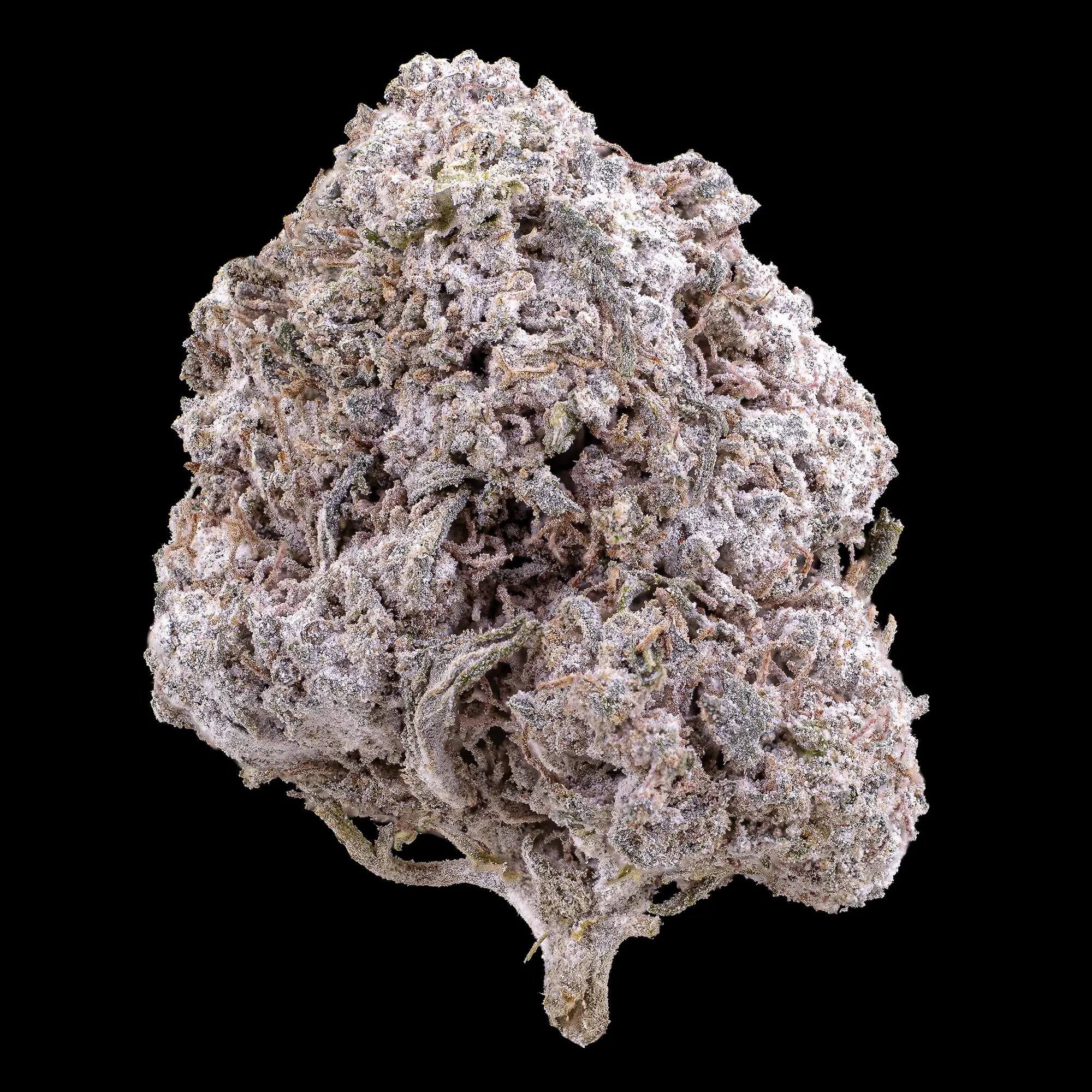 Odense O.G. - 23% THCA