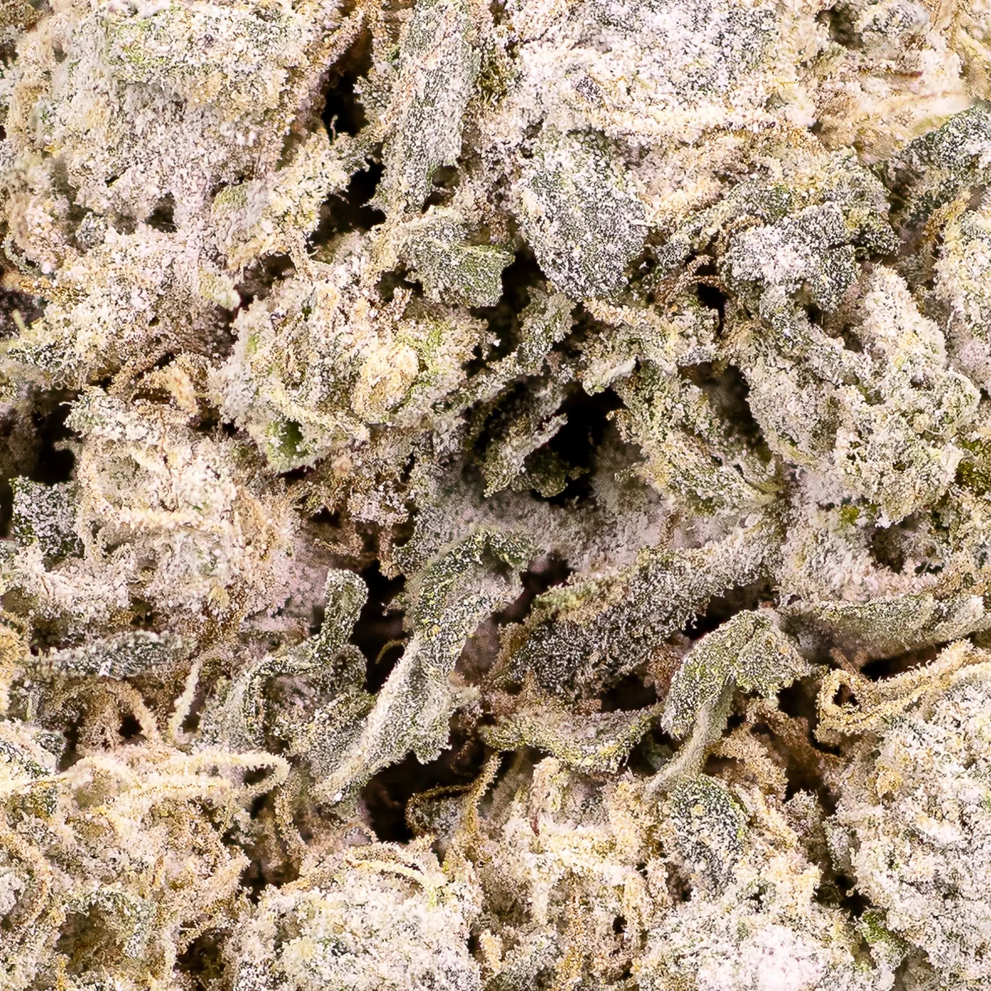 Tsunami 50g Deal - 24% THCA