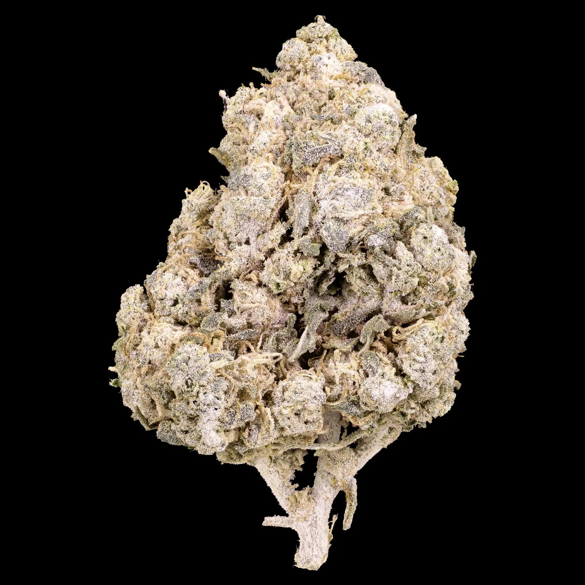 Tsunami 50g Deal - 24% THCA