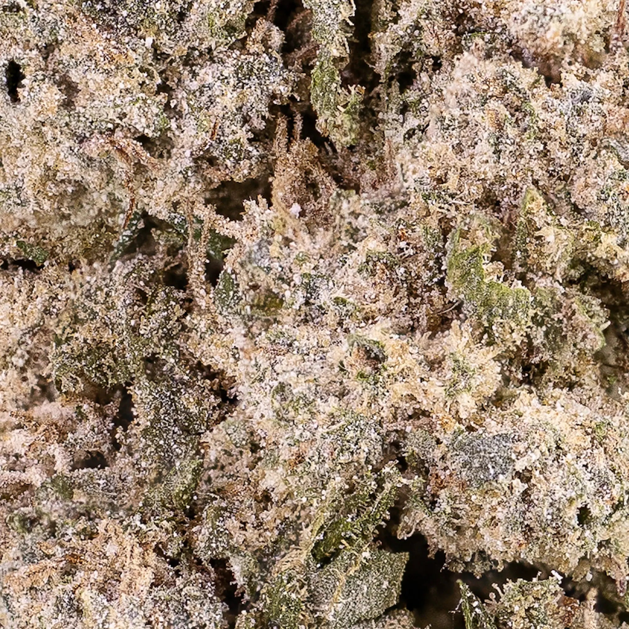 White Cali - 23% THCA