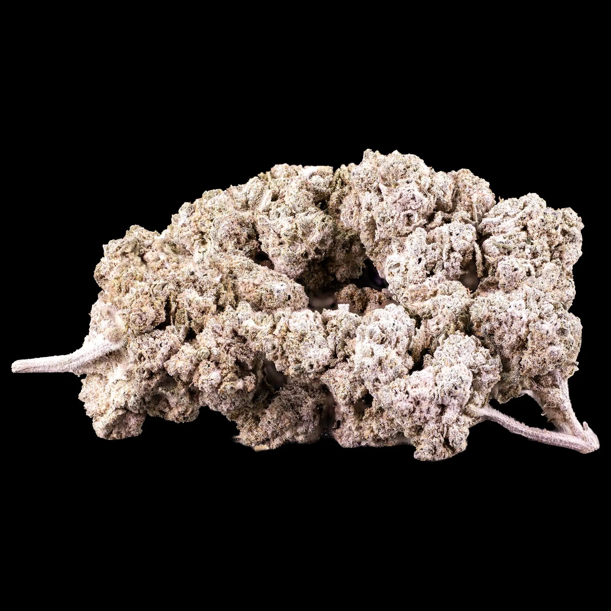 White Cali - 23% THCA