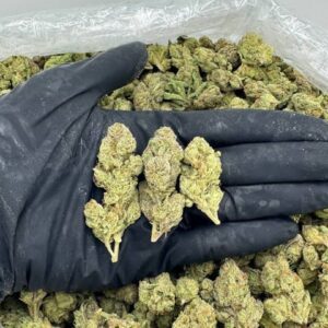 Lemon Cherry Gelato